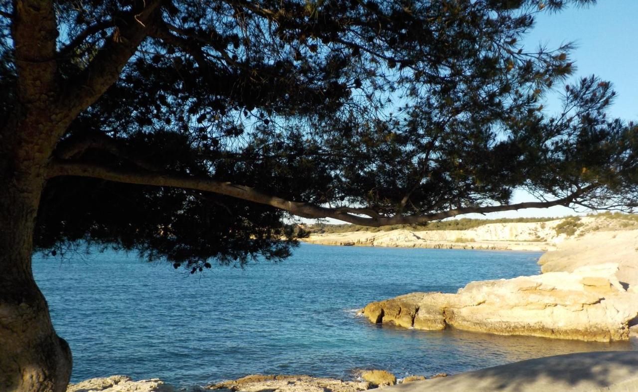 Les Lauriers Villa Sausset-les-Pins Dış mekan fotoğraf